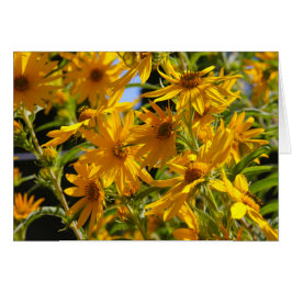 Flores en mi hierbas " Blume in meinem Unkraut "