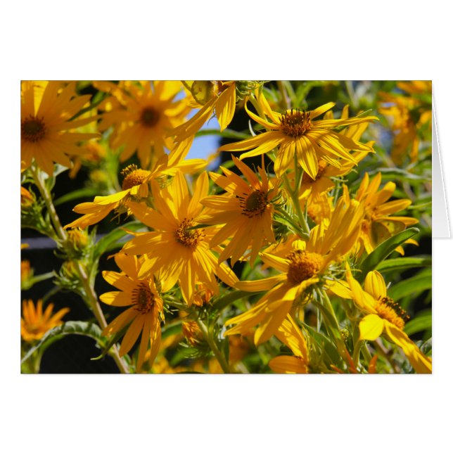 Flores en mi hierbas " Blume in meinem Unkraut " (Vorderseite (Horizontal))