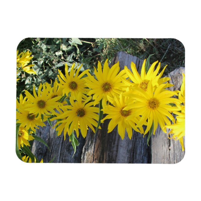 Flores en mi hierbas " Blume in meinem Unkraut " Magnet (Horizontal)