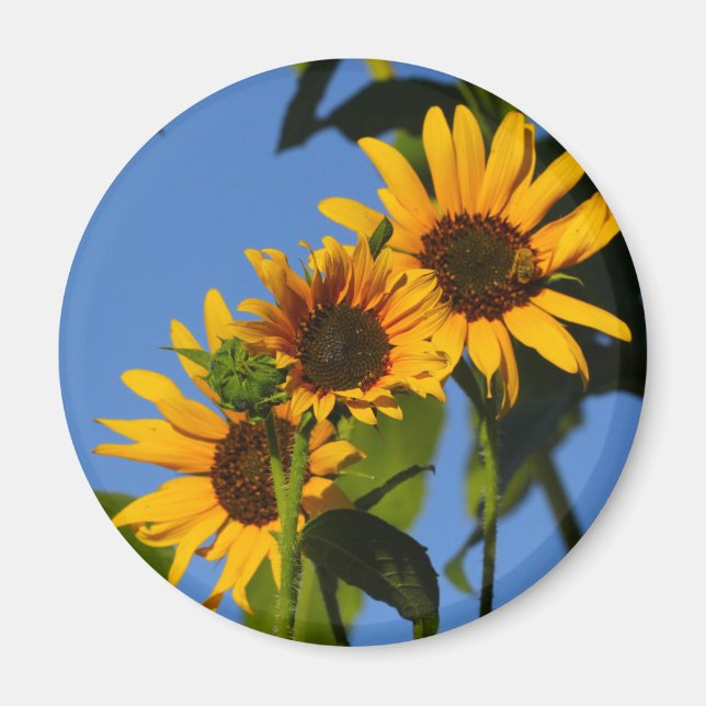 Flores en mi hierbas " Blume in meinem Unkraut " Magnet (Vorne)