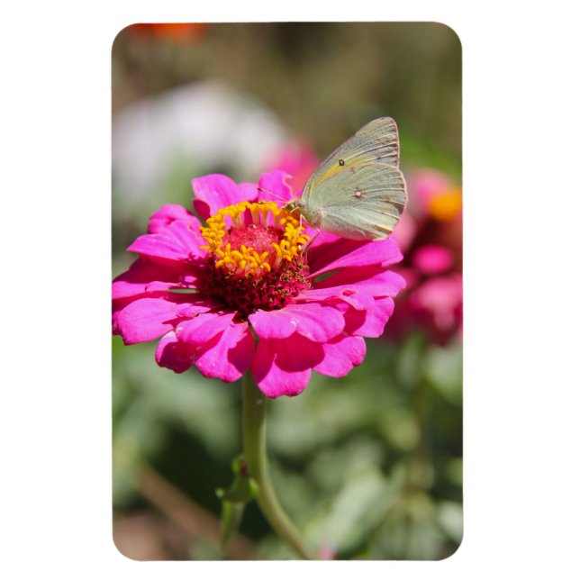 Flores en mi hierbas " Blume in meinem Unkraut " Magnet (Vertikal)