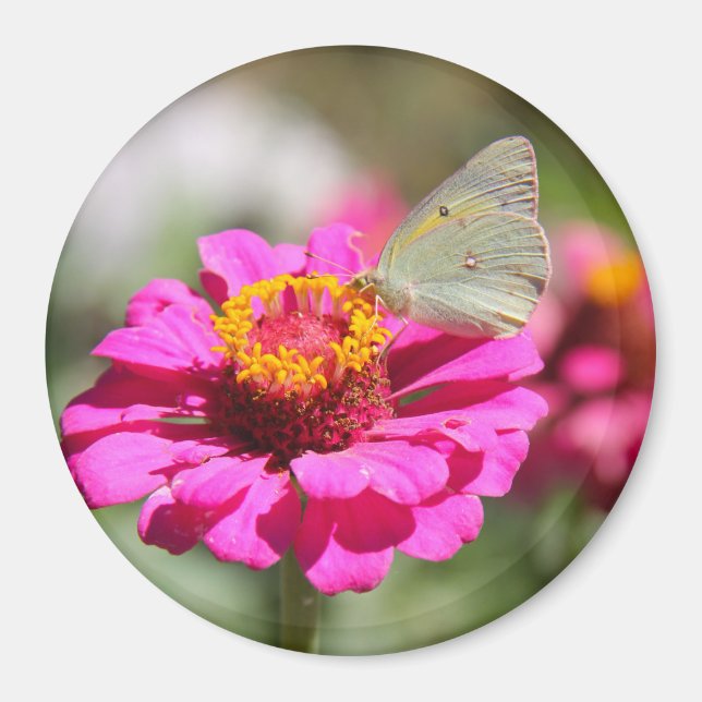 Flores en mi hierbas " Blume in meinem Unkraut " Magnet (Vorne)