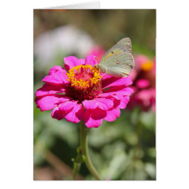 Flores en mi hierbas " fleurs dans mes mauvaises h