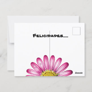 flores gérbera postkarte
