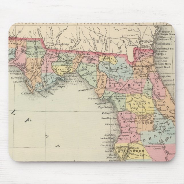 Florida 13 mousepad (Vorne)