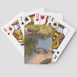 Florida Alligator & Limpkin Vogel im See Spielkarten