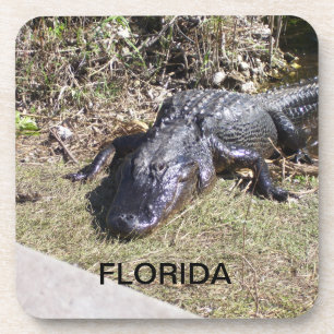 Florida Alligator Ruhen in den Everglades Getränkeuntersetzer