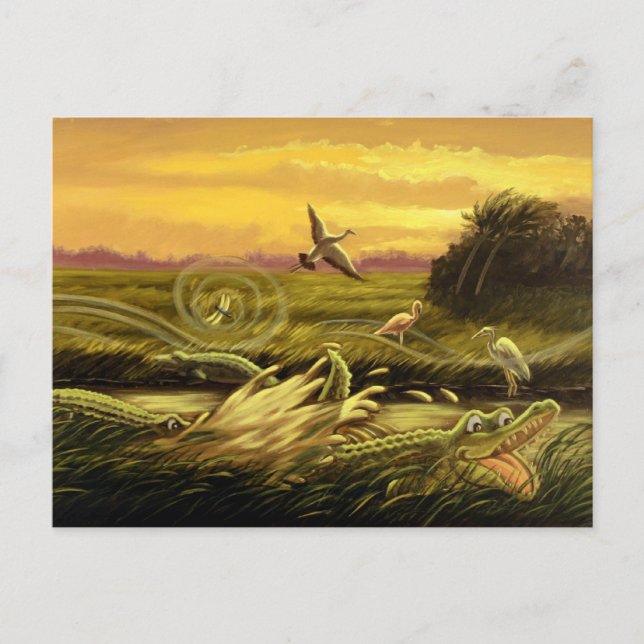 Florida Alligators Postcard Postkarte (Vorderseite)