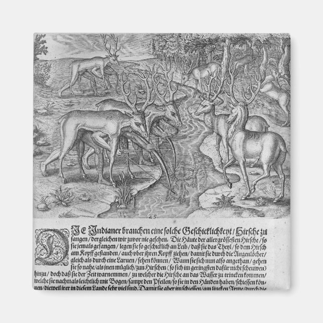 Florida-Amerikanische Ureinwohner Jagd auf Hirsche Magnet (Vorne)