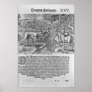 Florida-Amerikanische Ureinwohner Jagd auf Hirsche Poster