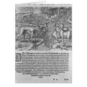 Florida-amerikanischer Ureinwohner, der Rotwild