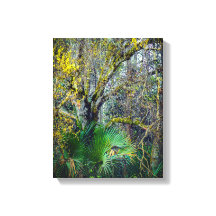 "Florida Backwoods" Mauer Art
