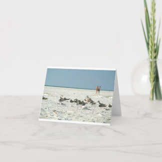 Florida Beach mit Möwen Kunstfotografie Dankeskarte