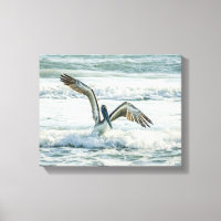 Florida Beach Pelican