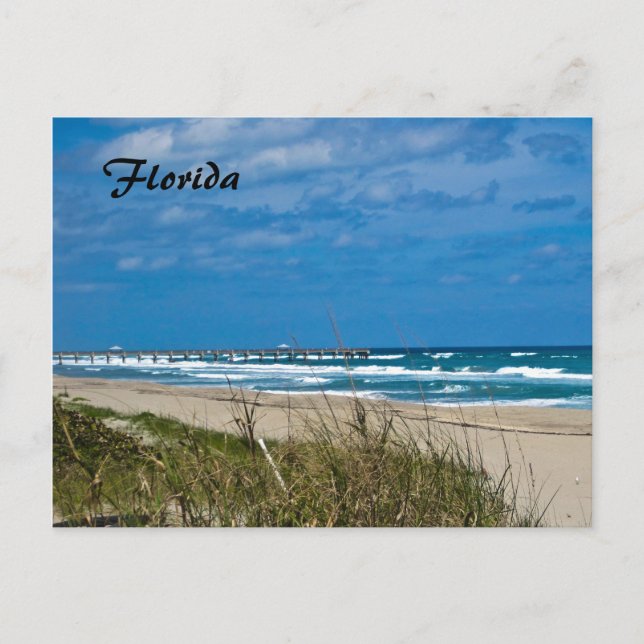 Florida Beach und Pier Postkarte (Vorderseite)