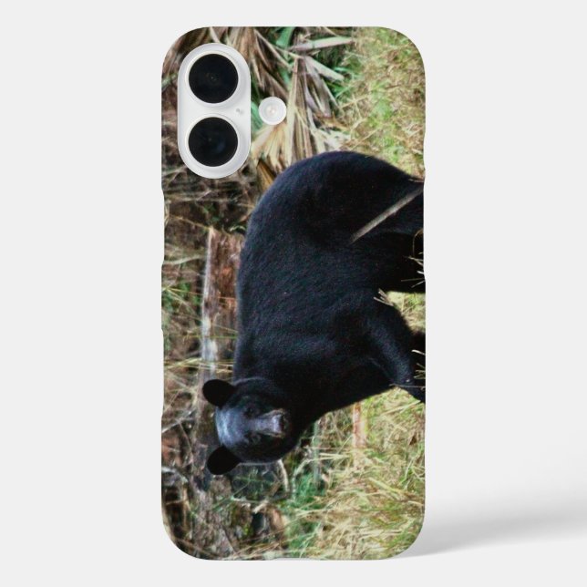 Florida Black Bear iPhone 16 Hülle (Rückseite)