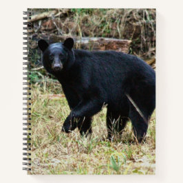 Florida Black Bear Notizbuch