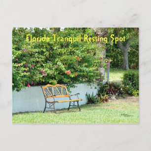 Florida Bougainvillea Postkarte