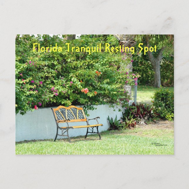 Florida Bougainvillea Postkarte (Vorderseite)