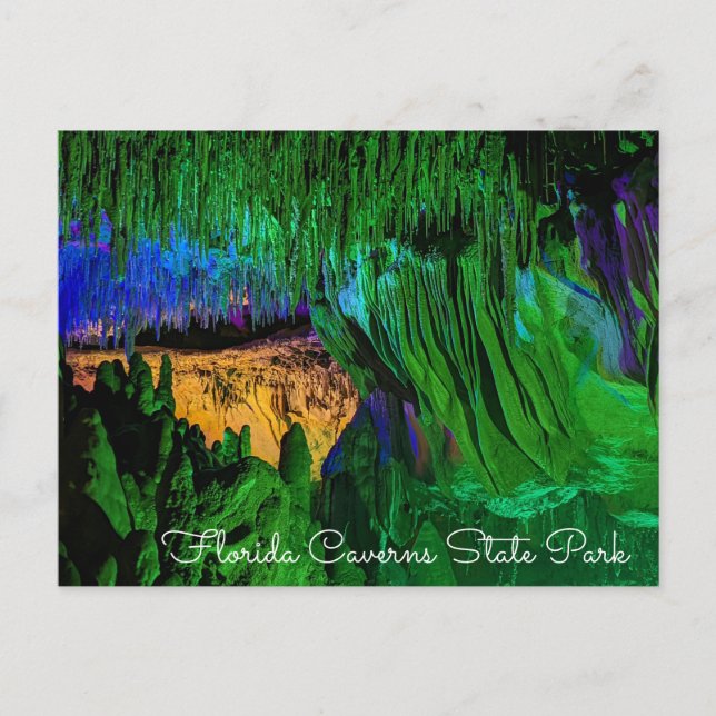 Florida Caverns Staat Park Postcard Postkarte (Vorderseite)