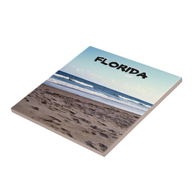 Florida Coastal Shoreline Beach Scene Fliese (Seite)