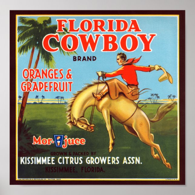 Florida Cowboy Poster (Vorne)