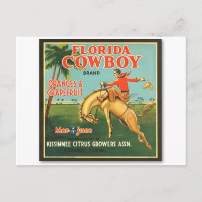 Florida Cowboy Postkarte (Vorderseite)