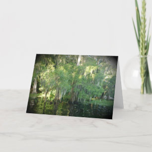 Florida Cypress Tree Note Card - Leere Karte