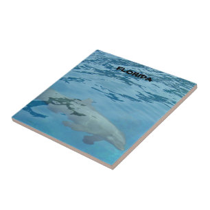 Florida-Delfin Unterwasser-Ozeanszene Fliese
