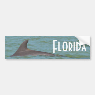 Florida-Delphin-Autoaufkleber Autoaufkleber