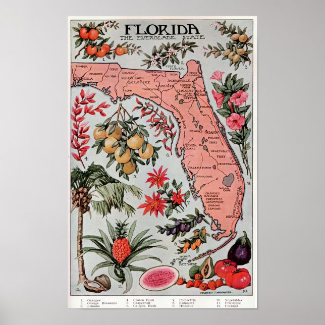 Florida Der Everglade-Staat ,Reiseplakat Poster (Vorne)