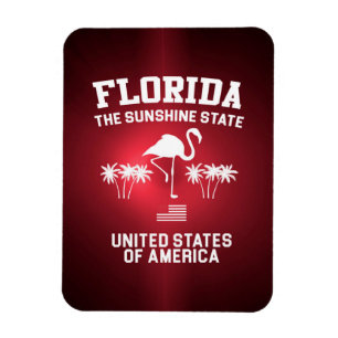Florida Der Sonnenschein-Staat Magnet