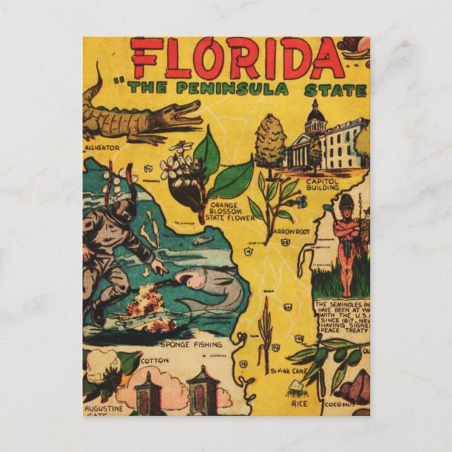 Florida Der Staat auf der Halbinsel Postkarte (Vorderseite)