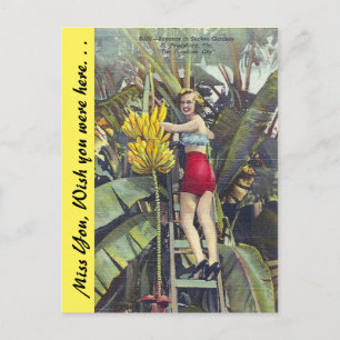 Florida, "Die Sonnenschein-Stadt" Postkarte
