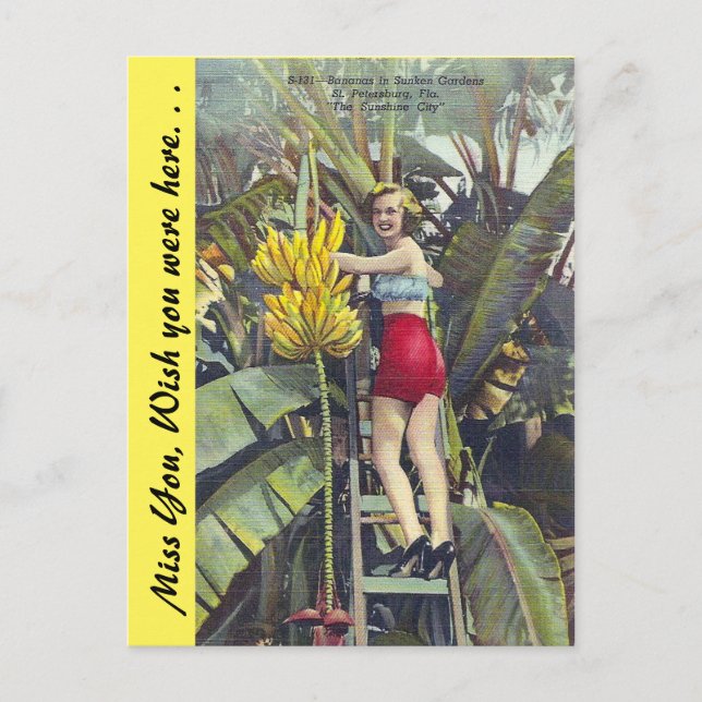 Florida, "Die Sunshine City" Postkarte (Vorderseite)