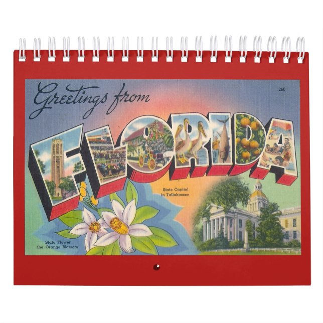 FLORIDA, ein Vintages Jahr Kalender (Titelbild)