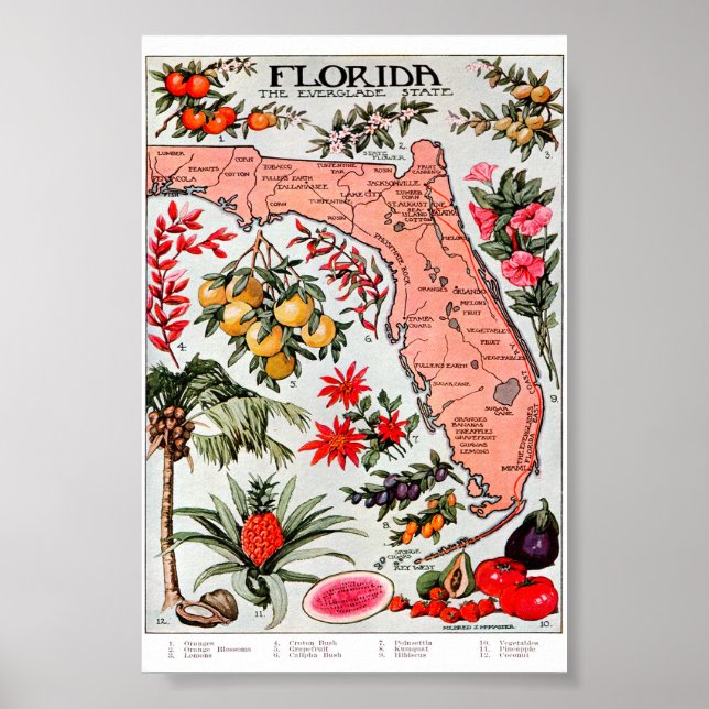 Florida, Everglade Staat Karte Poster (Vorne)