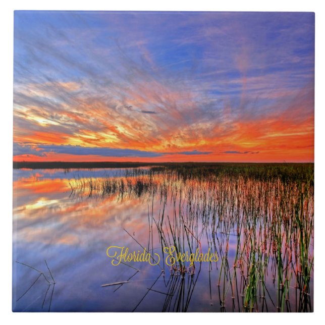 Florida Everglades, landschaftliches Panorama, Fliese (Vorderseite)