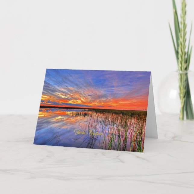 Florida Everglades, landschaftliches Panorama, Karte (Vorderseite)