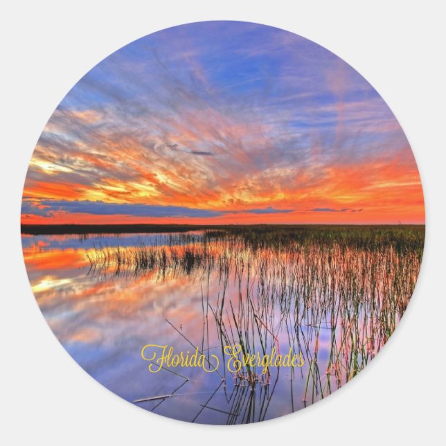 Florida Everglades, landschaftliches Panorama, Runder Aufkleber (Vorderseite)