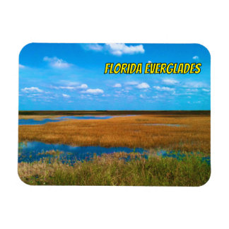 Florida Everglades Sawgrass, Himmel und Spiegelung Magnet
