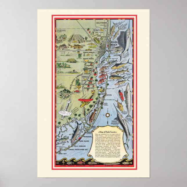 Florida Fish 12x18 Poster Imprimer (Devant)