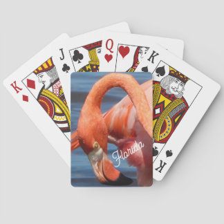 Florida Flamingo Spielkarten