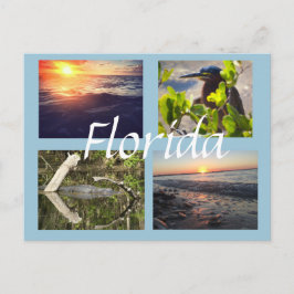 Florida-Fotografie Postkarte