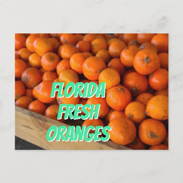 FLORIDA FRESH ORANGES Farmer's Market Grove Postkarte (Vorderseite)