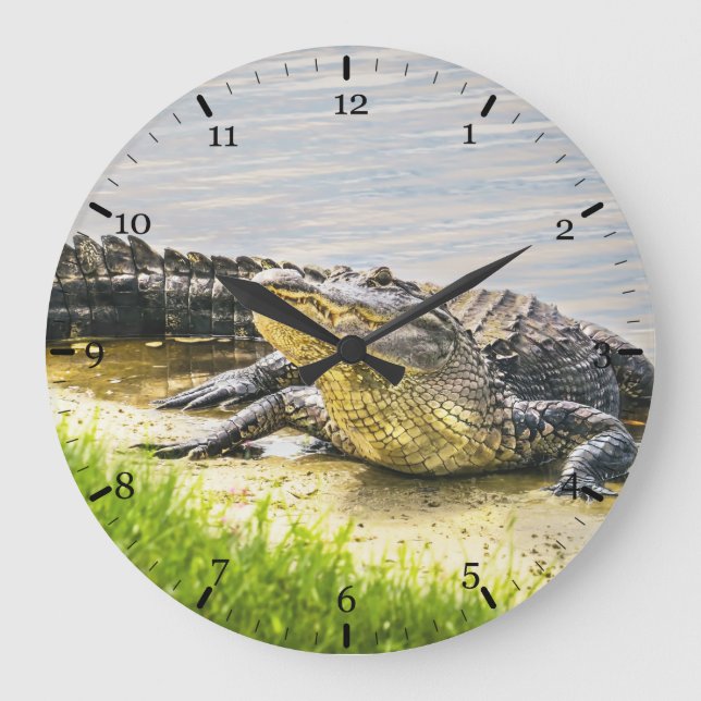 Florida gator große wanduhr (Vorderseite)