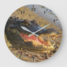 Florida gator portrait große wanduhr