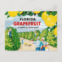 Florida Grapefruit 1930er Jahre Vintage Poster
