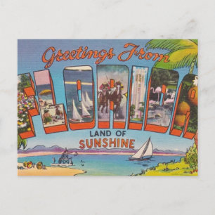 Florida Grüße  Postkarte