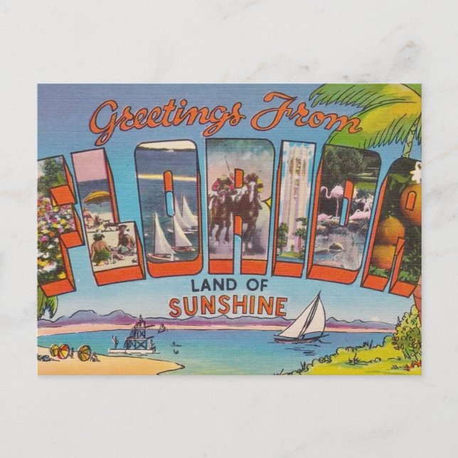 Florida Grüße  Postkarte (Vorderseite)